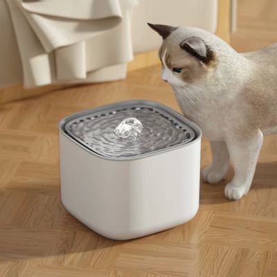 fontaine-a-eau-chat-curiosite
