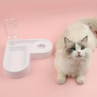 Gamelle Chat | Delart