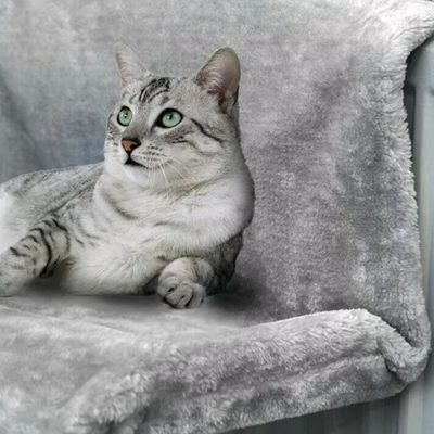 hamac pour chat radiateur | Hamarady