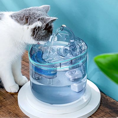 Fontaine à eau chat hydratant