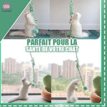 Jouet-pour-chat-a-suspendre-parfait