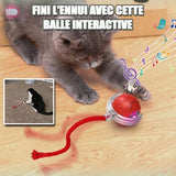 balle pour Chat|Intera™