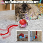 balle pour Chat|Intera™