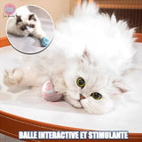 balle intelligente pour chat|Intelo™