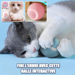 balle intelligente pour chat|Intelo™