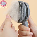 brosse-auto-nettoyante-libere-poils