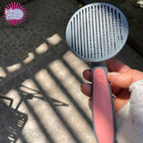 brosse pour chat|Cat Comb™