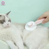 brosse-pour-chat-detente