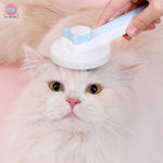 brosse-pour-chat-zen1