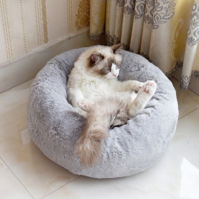coussin chat aisance appreciée