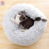 coussin chat|Top Confort™