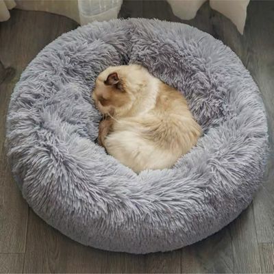 coussin-chat-en-boule