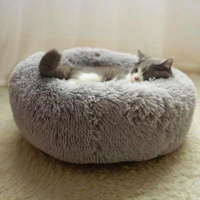 coussin-chat-enfoncement