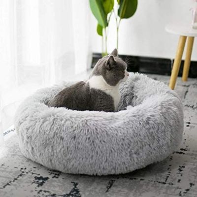 coussin-chat-gris