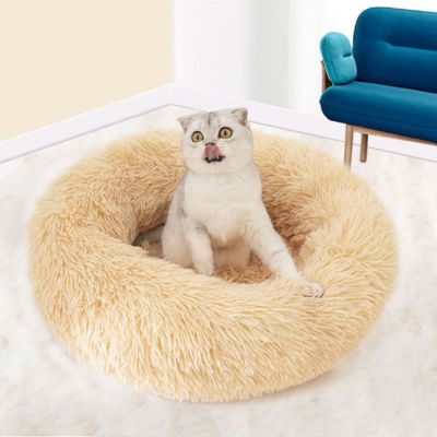 coussin-chat-intérieur