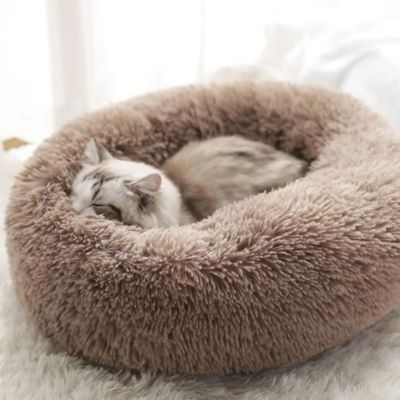 coussin chat repos mérité