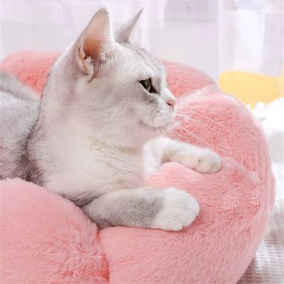 coussin-pour-chat-extraordinaire