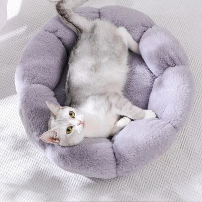 coussin-pour-chat-positionnement