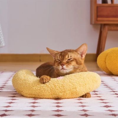 coussin-pour-chat-repos-confort