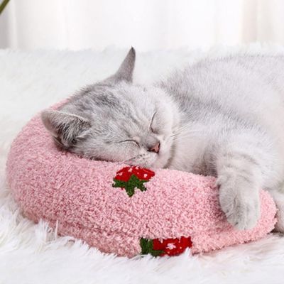 coussin-pour-chat-sommeil-apprécié