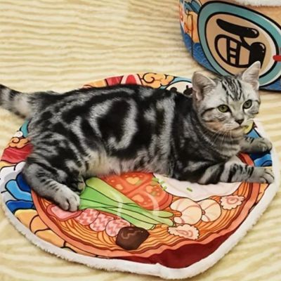 coussin-pour-chat-transforme