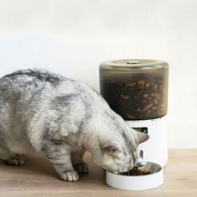 distributeur automatique croquettes chat conditionnant