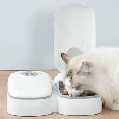 distributeur automatique de croquettes chat choisi