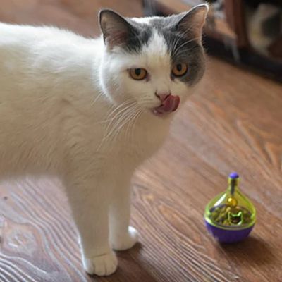 distributeur de croquettes pour chat appétissant