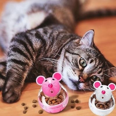 distributeur de croquettes pour chat bienfaisant