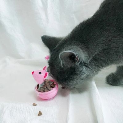 distributeur de croquettes pour chat délivrance friandises