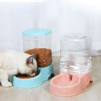 distributeur-de-croquettes-pour-chat-mangeaille