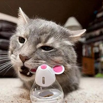 distributeur-de-croquettes-pour-chat-occupation