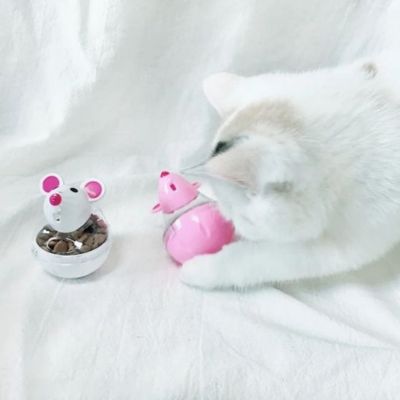 distributeur-de-croquettes-pour-chat-passionnant