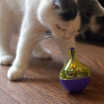 distributeur de croquettes pour chat rond curieux