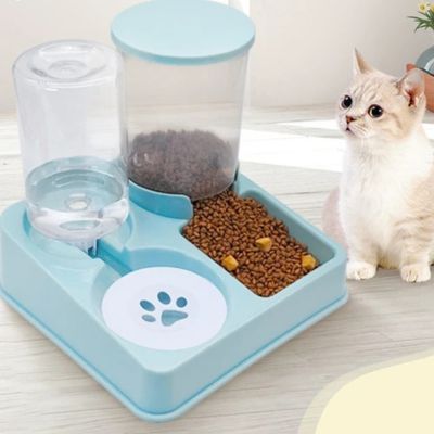 distributeur-de-croquettes-pour-chat-surpris