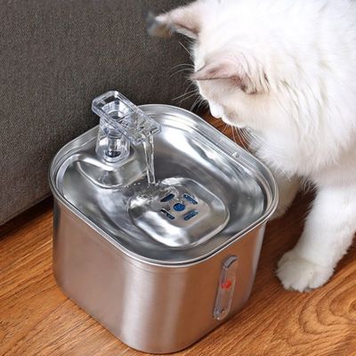 fonfaine-a-eau-chat-fructueuse