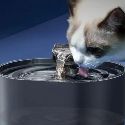 fontaine-a-eau-chat-absorption