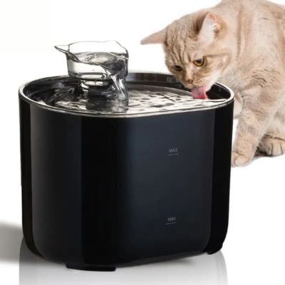 fontaine-a-eau-chat-anti-deshydratation