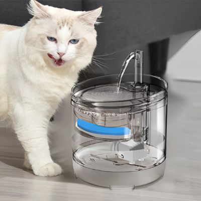 fontaine-a-eau-chat-aquariophile