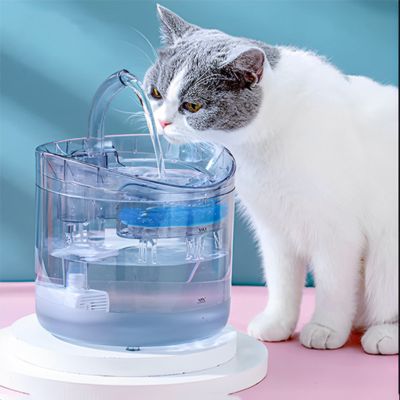 fontaine-a-eau-chat-aqueuse