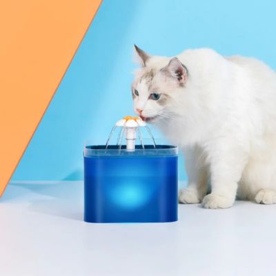 fontaine a eau chat assouvissement immédiat