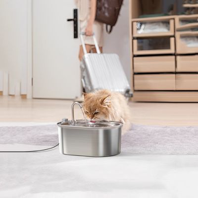 fontaine-a-eau-chat-autonomie