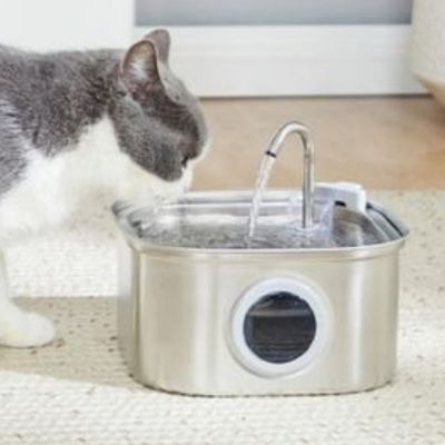 Fontaine a eau chat|Lopota