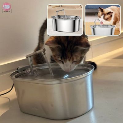 fontaine a eau chat|Clairly™