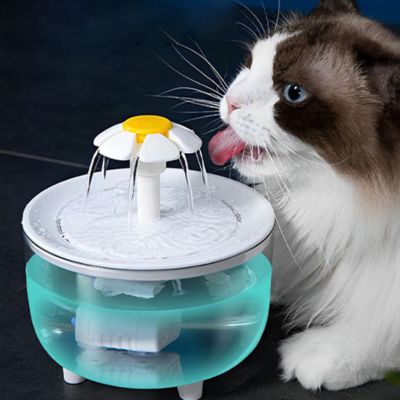 fontaine-a-eau-chat-barque