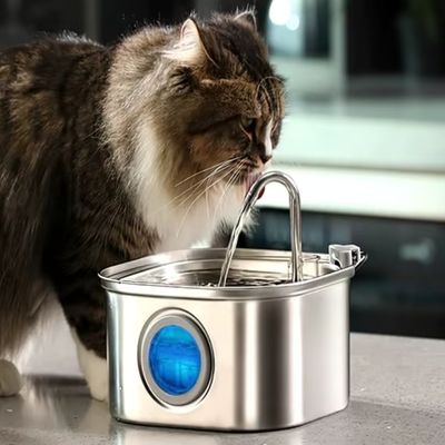 fontaine-a-eau-chat-capteur-avec-filtres