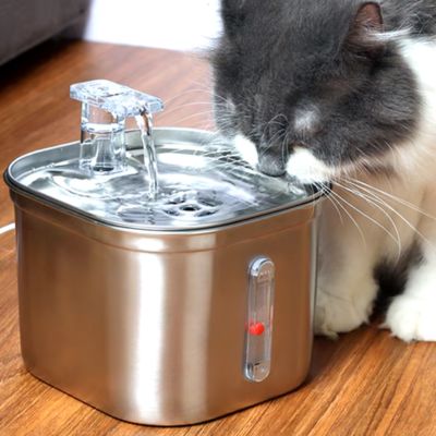 fontaine-a-eau-chat-capteur-filtres