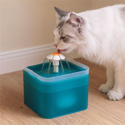 fontaine-a-eau-chat-consommation-simple
