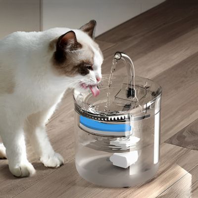 fontaine-a-eau-chat-desalterante
