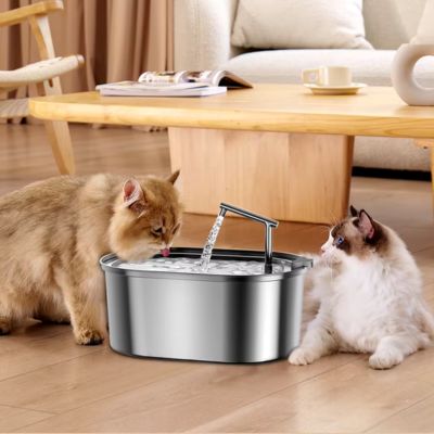 fontaine-a-eau-chat-douceur